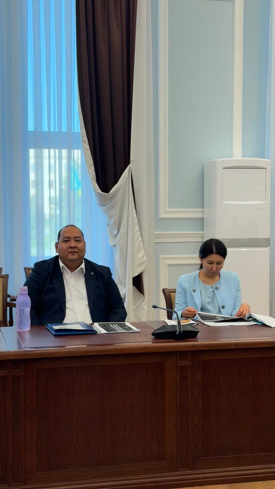 Presentation of projects at the working group meeting