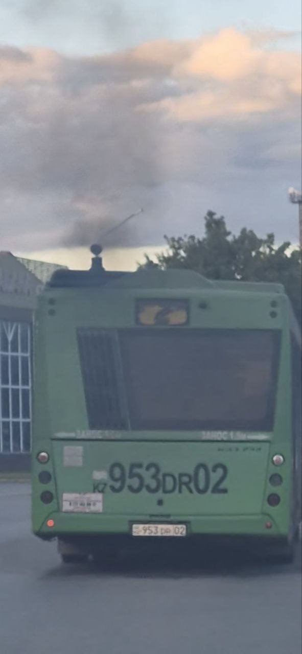 Passengers boarding a bus on route No. 20